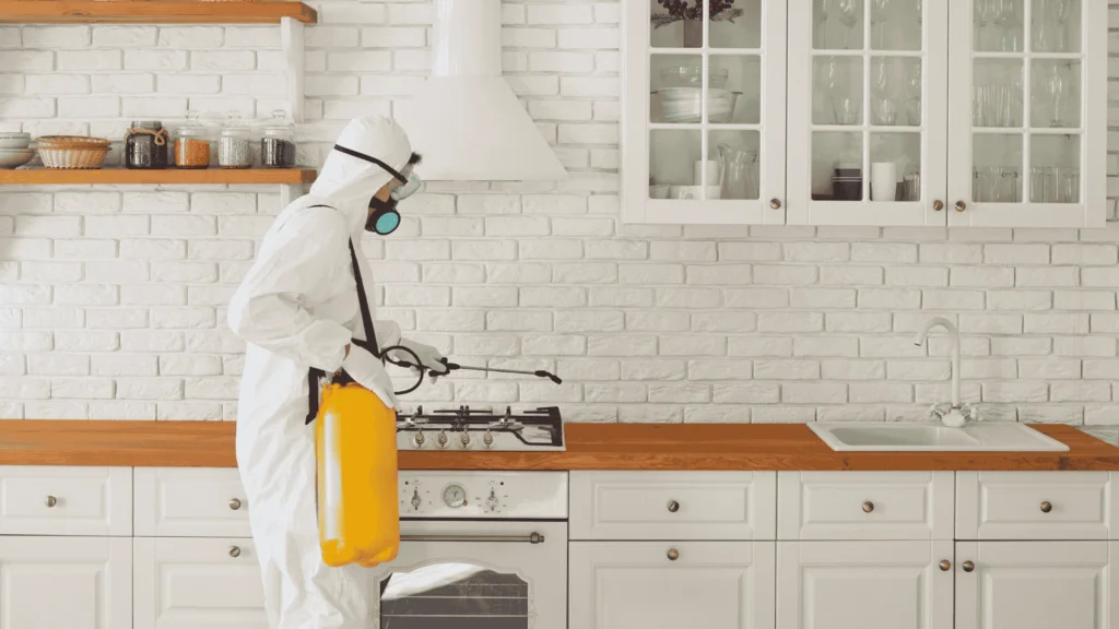 Termite Control